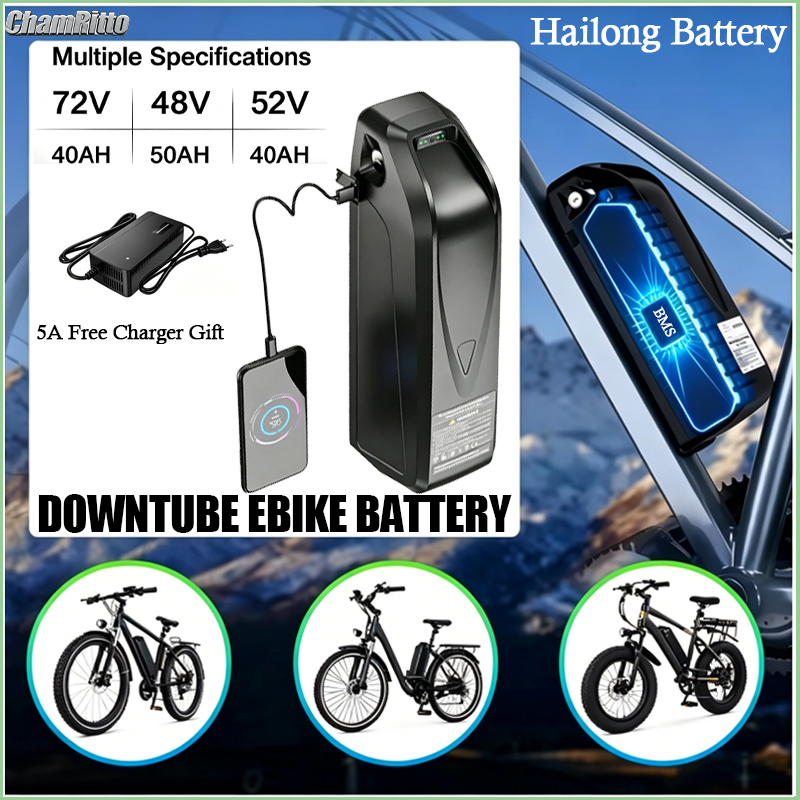 Ebike Battery 48V 20Ah Hailong - Batería para Bicicleta Eléctrica Hailong 48V