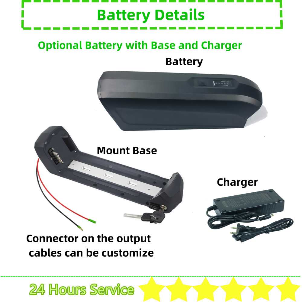Hailong-Batería de bicicleta e - Ebike Battery 48V 20Ah Hailong reseña y precio